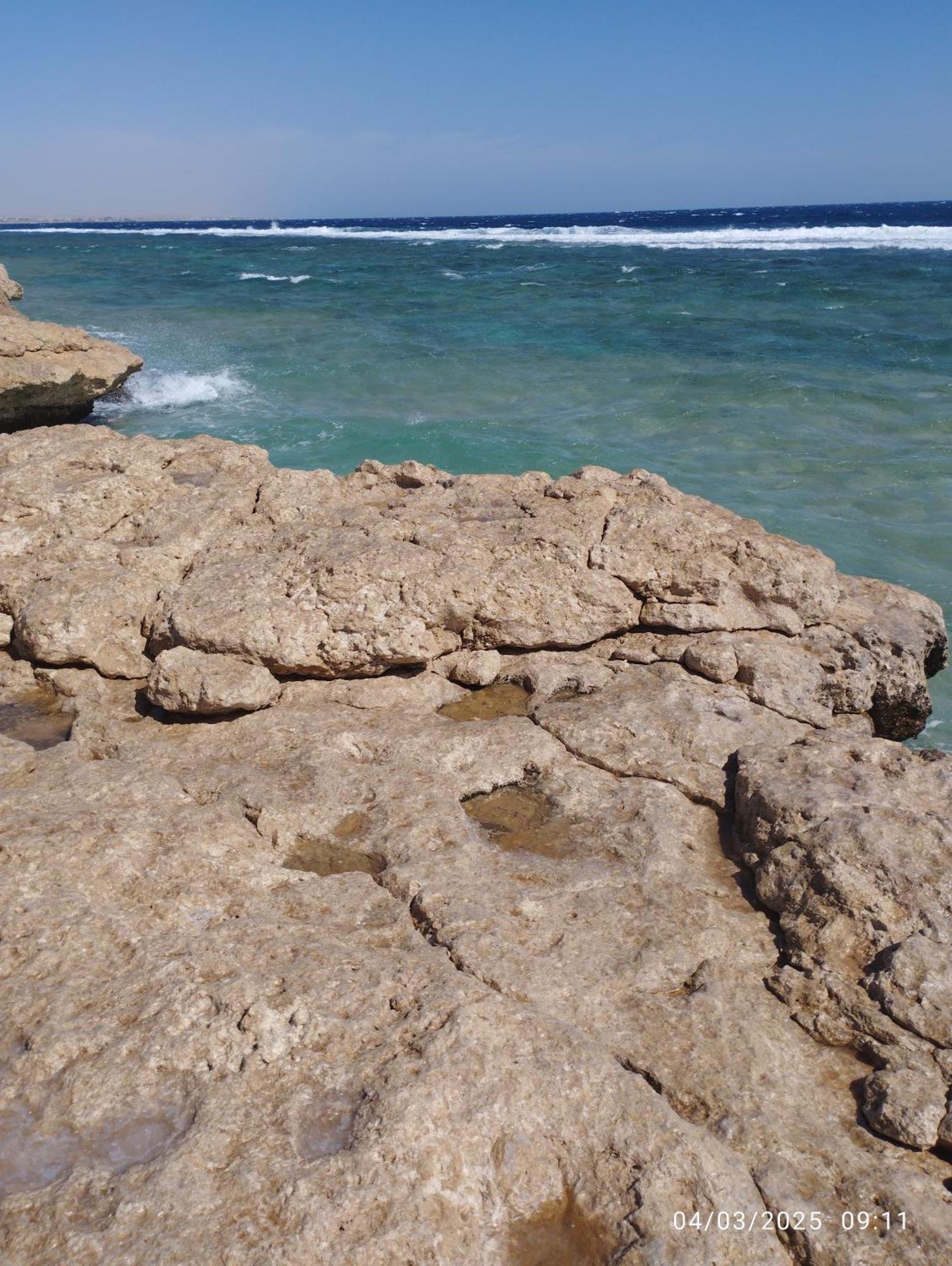 Marsa Alam Oyster Bay Resort And Spa מראה חיצוני תמונה